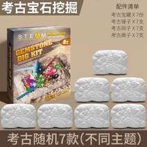 보석 화석 발굴 키트 광물 캐기 공룡 알 화석 고고학 장난감 보물 블라인드 광석 소녀 소년 과학실험 재밌는지구과학키트, 02-전체 고고학 시리즈의 7가지