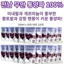 전남무안 자색통양파즙 100ml 120포 90포 30포