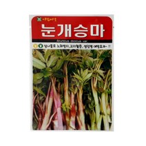 한농 눈개승마 씨앗 - 종자 산나물종자 삼나물