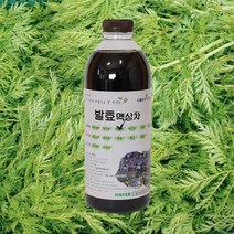 자연미가 개똥쑥 효소액 1000mlx1병 /ss 자연숙성 발효액100%, 1000ml x1병