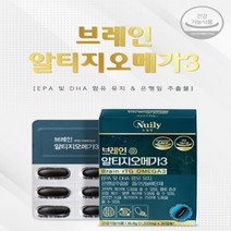 뉴일리 징코알티지오메가3 1200mg 1박스(30캡슐) 은행잎추출물, 30캡슐 x2
