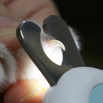 리스펫 반려동물 LED 다보여 발톱깎기 4.3 x 15 cm, 핑크, 1개
