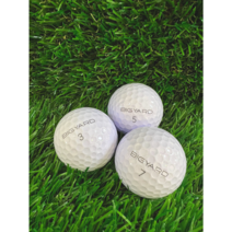 빅야드 로스트볼 (10구), 광주황, A