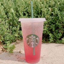 정품 스타벅스 710ml 콜드컵 직장인 선물 스벅 리유저블 텀블러 + 세척솔 증정, 단품