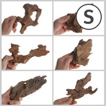 맹그로브 유목 소형 13~18cm 1개