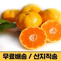 제주 감귤 제주도 귤 밀감 타이벡 노지감귤 조생 극조생 3kg 5kg 10kg 햇 프리미엄 고당도 감귤농장 산지직송 택배, 노지감귤 10kg, 로얄과(2s-M)