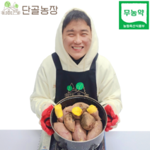 산지직송 해남 친환경 무농약 유기농 고당도 스테비아급 고구마 베니하루카, 10kg/대/개당 320g이상