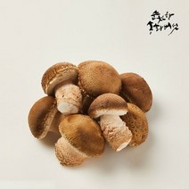 레이틀리푸드샵 [송화버섯] 1kg 실속형 산지직송 무농약