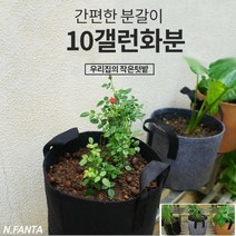 부직포 화분 식물 고구마 모종 키우기 10갤런 40x30 블루베리 고구마 감자 모종 키우기 베란다 텃밭 흙 담기 화분, 1화분10갤런-블랙