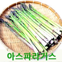 싱싱한 아스파라거스1kg 국내산 아스파라거스