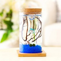 마리모 키우기 LED 유리병 테라리움 코르크병 zoommii*3825549EA, 본상품선택