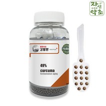 자연그리고약초 발효숙성 강황환 250g, 1병