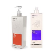 프라메시 모포시스 샴푸 1L 퓨리파잉 덴시파잉 026506, Purifying 026485