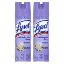 Lysol Disinfectant Spray, 2개, 538g