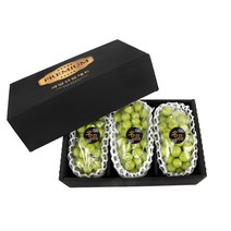 [과일선물세트] 프리미엄 고당도 샤인머스켓 선물세트 2kg-3수