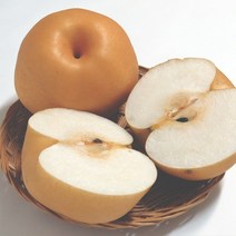 나주 배 5KG
