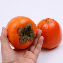 대봉감(특) 10kg 30과내외 팔팔마켓 대봉시 홍시용