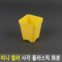 미니 컬러 사각 플라스틱 화분 대 - 퍼플 미니 화분 컬러, 소,-,옐로우