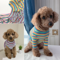 강아지 줄무늬 티셔츠 무지개 쫄티 긴팔 (핸드메이드 맞춤) 초소형견 xxs 중형견 대형견 2xl 3xl 4xl, 노랑