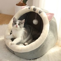 고양이 집 침대 고양이 빌라 개집 애완용품, 귀여운 영어 짧은