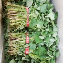 맛있는 농장 호박고구마 모종 10kg(4월1일부터예약주문받습니다), 호박고구마 모종 10kg, 5월 15일 도착