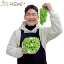 스테비아급 고당도 망고포도 샤인머스켓, 샤인머스켓 / 1.6kg / 왕특 / 2수