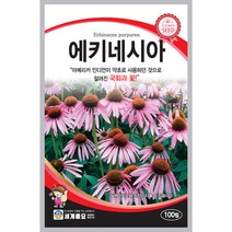 에키네시아 100립 꽃씨 다년생 씨앗 작약꽃 야생화 세계종묘 농사마트, 1개