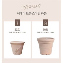 더알로하 조화 인조나무 선인장 테이블화분 야자수나무 아레카야자 극락조 몬스테라 고무나무 올리브나무, 이태리토분스타일 화분 30호, 1개