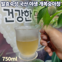 야생 토종 국내산 강원도 홍천 돌 복숭아 청 개복숭아 액기스 엑기스 진액 발효 액 진액 숙성액 절임 효소 액상 부모님 간절기 선물세트 750ml