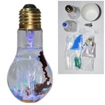 5인세트 화학정원 실험키트 반투막 과학실험도구 원리 관찰