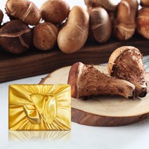 [향채움] 국내산 참송이버섯 500g 선물세트, 없음, 상세설명 참조