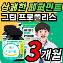 상쾌한 페퍼민트 맛 그린 초록 멀티 프로폴리스 플로폴리스 프로폴리 폴리폴리스 프로플러스 폴라폴리스 플라보노이드 츄어블 액상 연질 캡슐 입 구강 향균 작용 항산화 면역 기능 추천, 3개월 / 60캡슐X3개 + 사은품