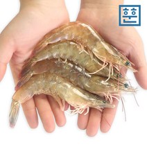 훈훈 급냉 흰다리 활새우 1kg (급냉 흰다리새우 대하), 생물 활새우 1kg, 1개