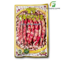 웰빙얼룩이강낭콩씨 30g 콩씨 씨앗 대장 KS종묘, 1개