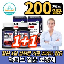 캐나다 직수입 성장기 어린이 청소년 성인 남자 여자 임신부 임산부 수유부 가임기 여성 액티브 프리미엄 철분 철분제 헴철, 100정, 2개