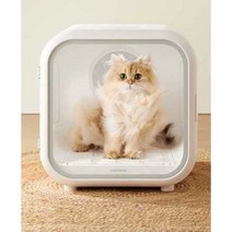 펫드라이기 애완동물 털건조기 고양이 강아지 드라이기, 50L
