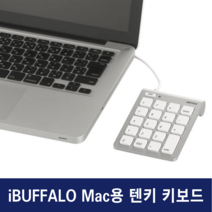 iBUFFALO 맥용 텐키 키보드 for mac 슬림 넘버 패드 엑셀, 기본, 기본, 기본
