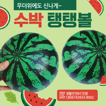 비치볼 [수박비치볼] 비치볼/칼라비치볼/무지비치볼/삼색비치볼/돼지비치볼/물놀이공/물놀이용품/탱탱볼, 칼라무지탱탱볼(블루)