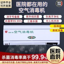 기 영호강 공기청정기 외래 플라즈마 자외선 오존, 04 벽걸이40큐브【자외+음이온+오존】