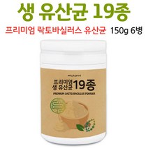 생유산균 프리미엄 유산균 파우더 분말 대용량 락토바실러스 가세리 가루 정품 프로바이오틱스 요구르트 향 김치유산균 모유유산균, 6병, 150g