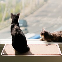 냥선반_700+스크래쳐 카패트SET, 상세설명 참조, 냥반_600/브라운 카패트