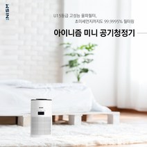 아이니즘 공기청정기 원룸 소형 미니 사무실