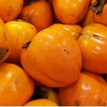 파몰 - 한알 정성 햇 감 청도 반시 진영 단감 대봉감 홍시, 대봉감(홍시), 대봉 대과 5kg (13~18과)