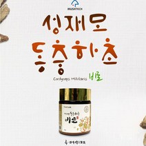 정품 성재모 비로 40g 2병 현미 동충하초 무농약 분말