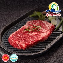 [총체보리한우]1+등급이상 채끝 500g, 단품
