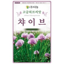 차이브허브(채소겸용)씨앗 40g, 단품없음
