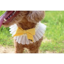 견생혼 강아지 미니방울 보타이, 미니리본 보타이-블루