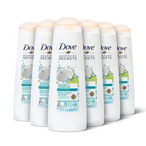 칸투너리싱 시크릿 샴푸 코코넛 라임향 건성 모발용 355ml 6개입