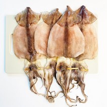 반건조오징어 건조 마른 파품 피데기 반건오징어 10마리 동해안 속초 냉동 피대기, 특 10마리(1.5kg내외)