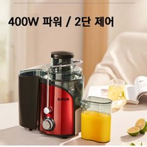가정용 착즙기